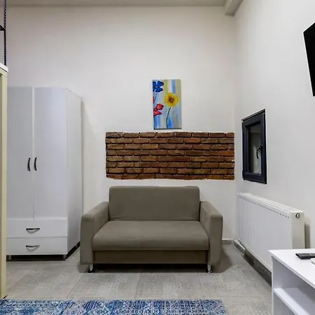 Cozy & Comfy Studio At Beyoglu - 24 公寓 伊斯坦布尔